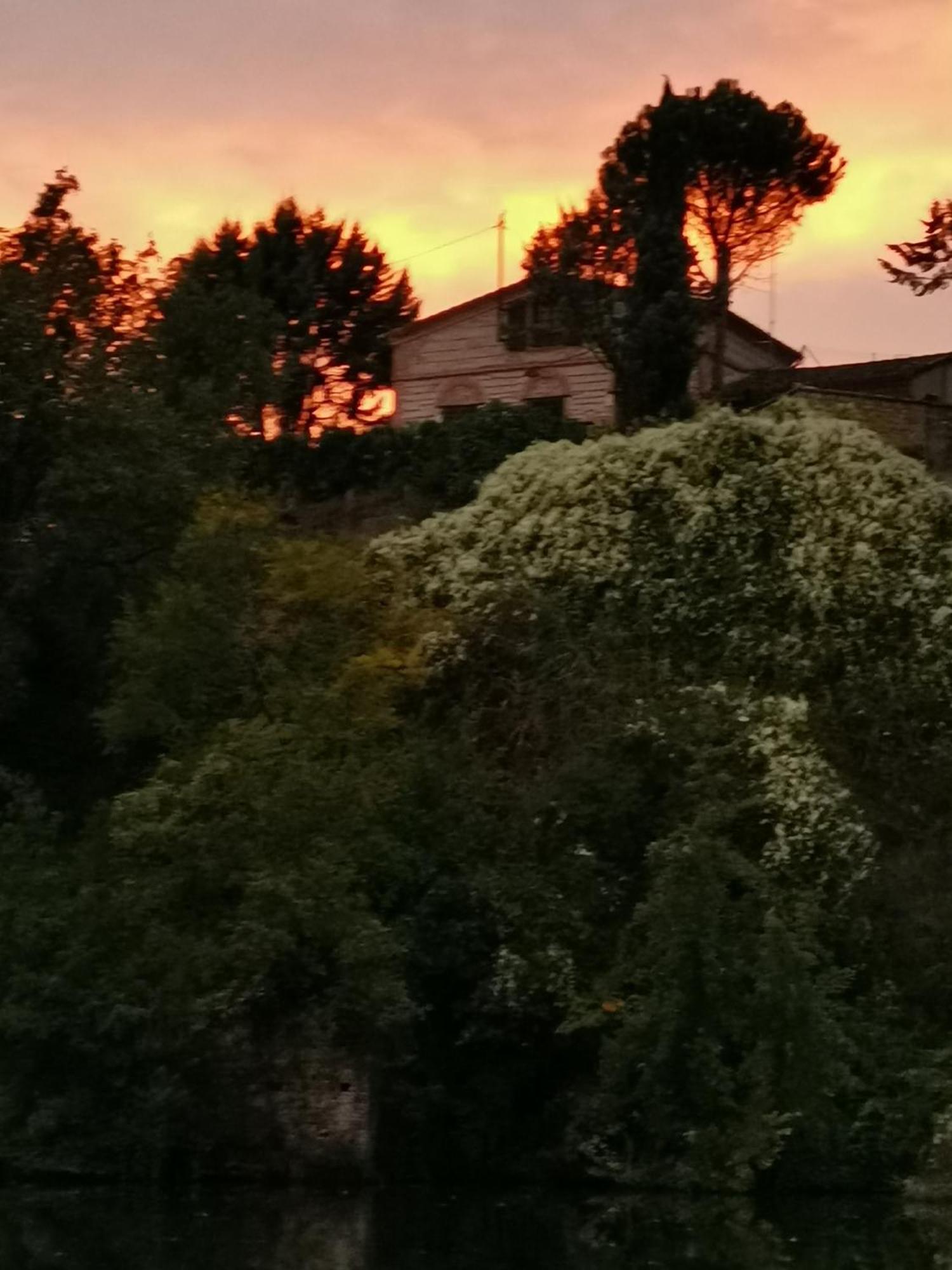 Villa La Planque De L'Eclusier Castelnau-de-Lévis Esterno foto