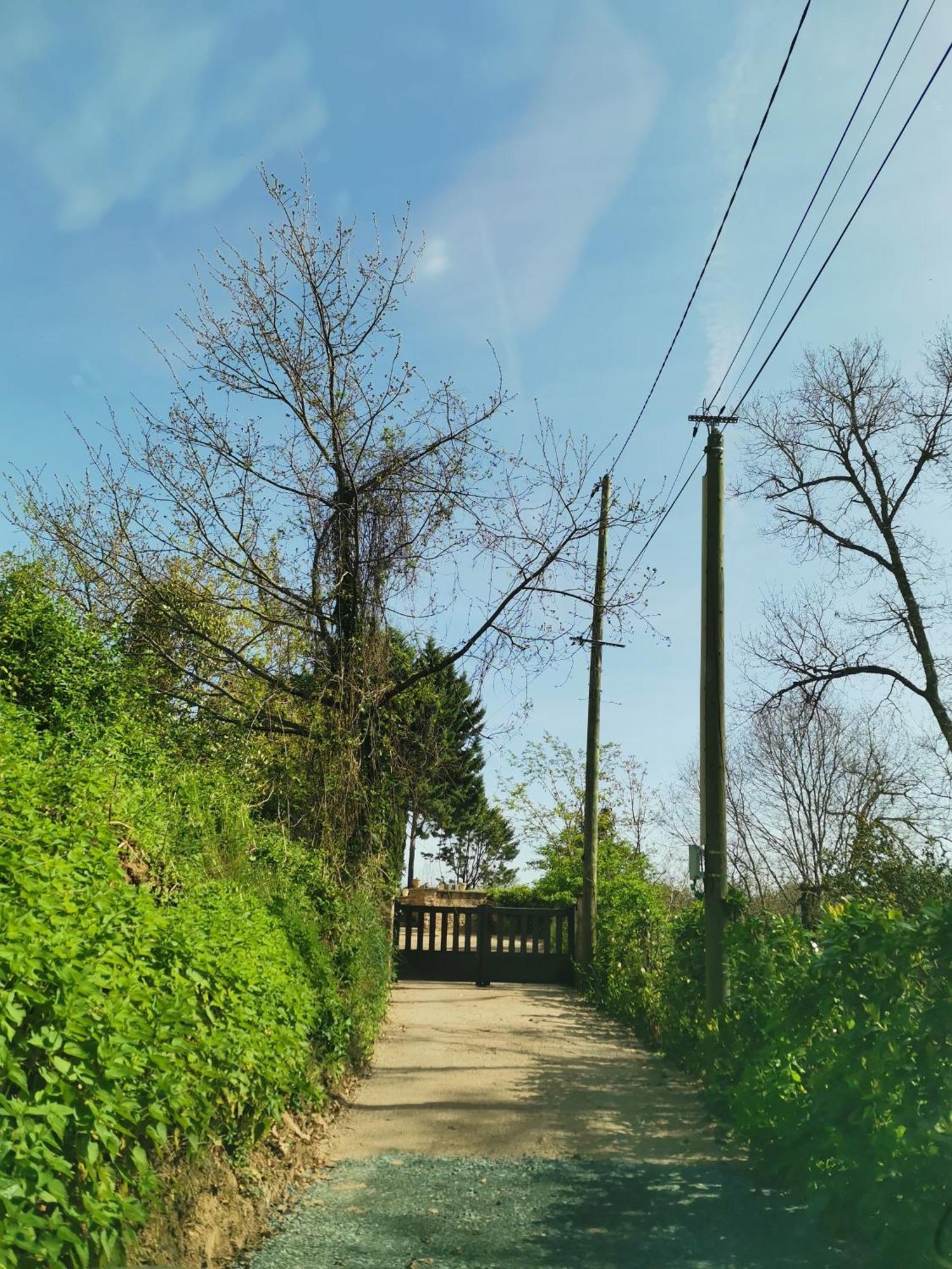 Villa La Planque De L'Eclusier Castelnau-de-Lévis Esterno foto